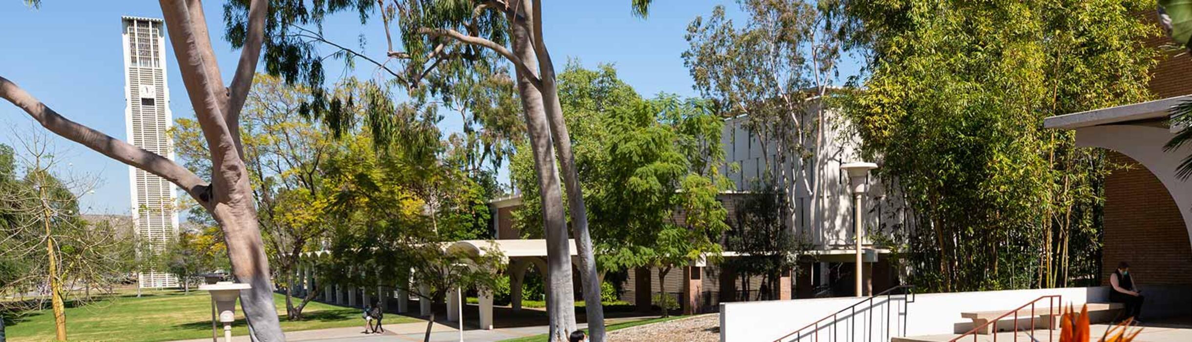 Panoramic of the Rivera Lawn, with the Bell Tower and Rivera Arches in the background.